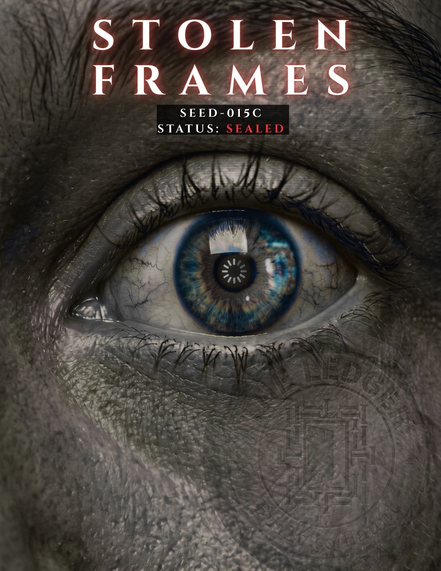 A close-up of a human eye with a blue iris and a circular symbol in the pupil, overlaid with the text 'STOLEN FRAMES' and 'SEED-015C STATUS: SEALED'. The face surrounding the eye is heavily textured and dark gray, with a faint circular emblem visible on the cheek.